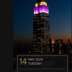 Alison Colors Pug Medallion Bracelet – Westminster/Best of Breed Colors