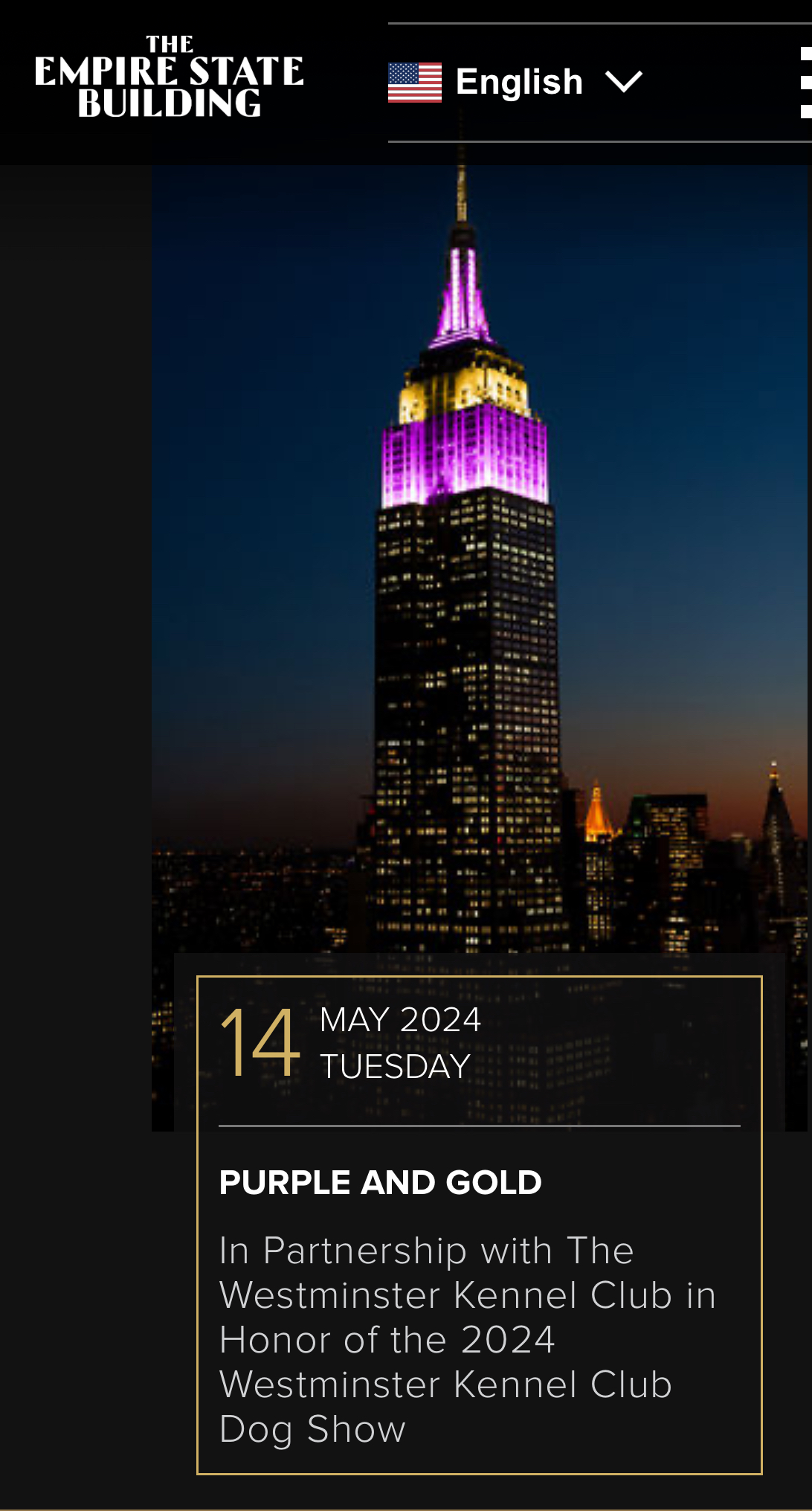 Brianne Colors Bracelet - Westminster/Best of Breed Colors - Image 3