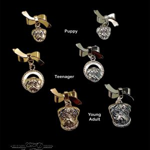 Pug Family Tree Bow Pin – Puppy, Teenager, Young Adult